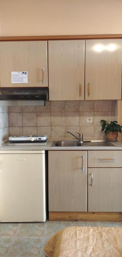 Xenia Palace Luxury Apartments Vrasná 外观 照片