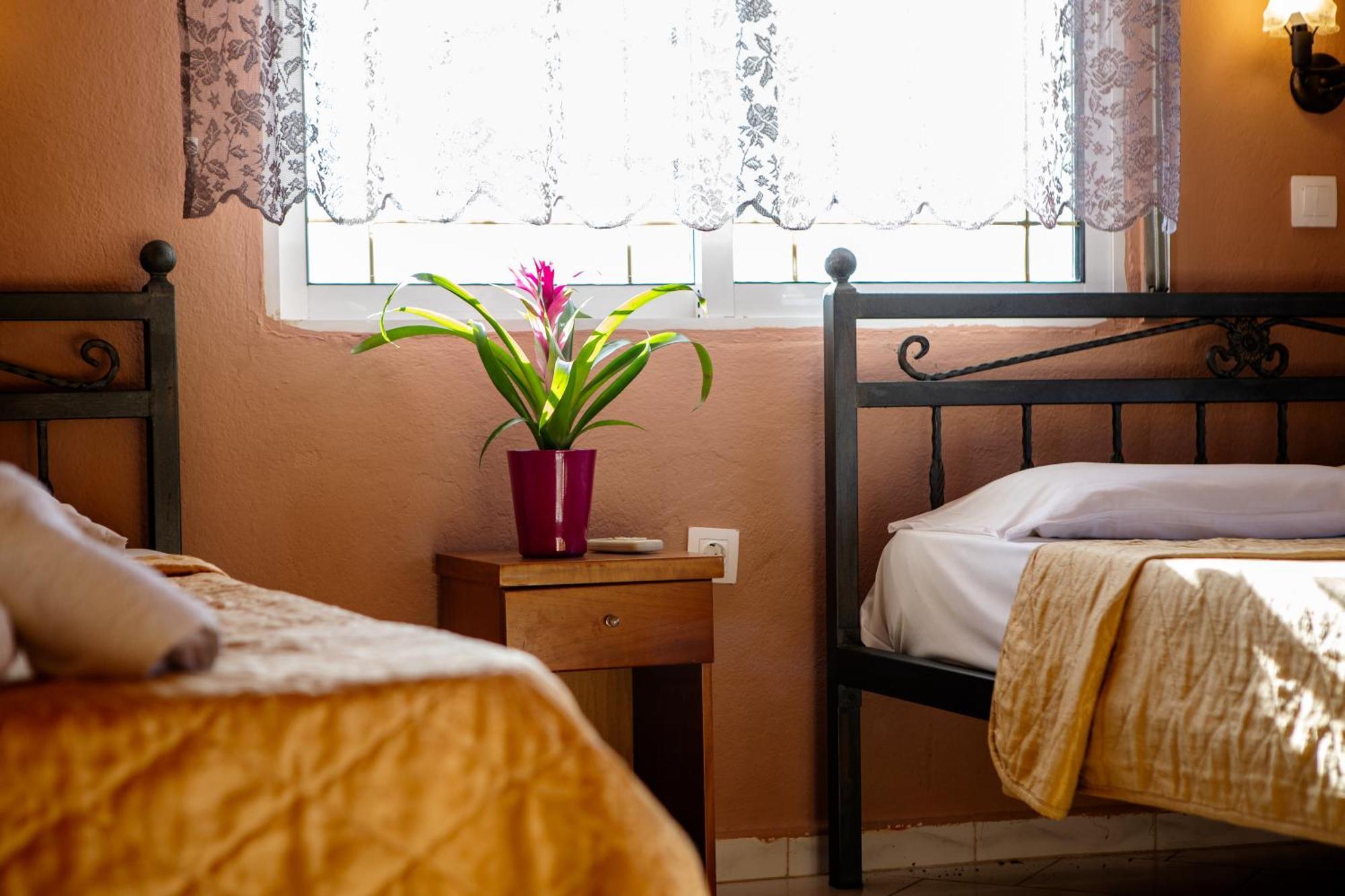Xenia Palace Luxury Apartments Vrasná 外观 照片